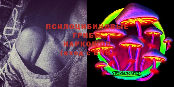 сатива Майский